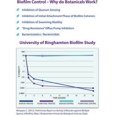 Biocidin® Liquid - Broad Spectrum, Detoxification & Immune Support - Bio-Botanical Research